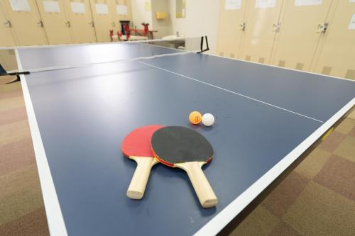 Apartamento Angel Resort Yuzawa 504