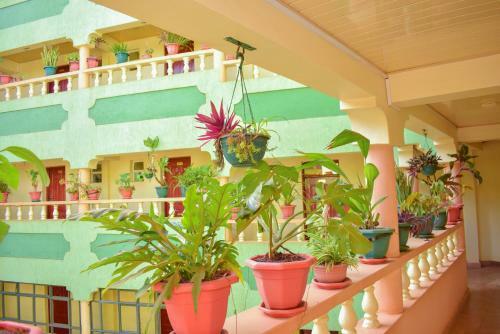 Greenvale Hotel