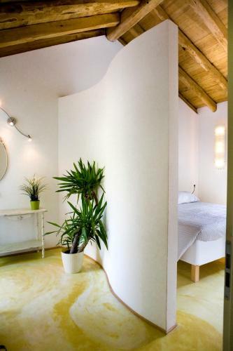 Agroturismo Agriturismo Il Mulino