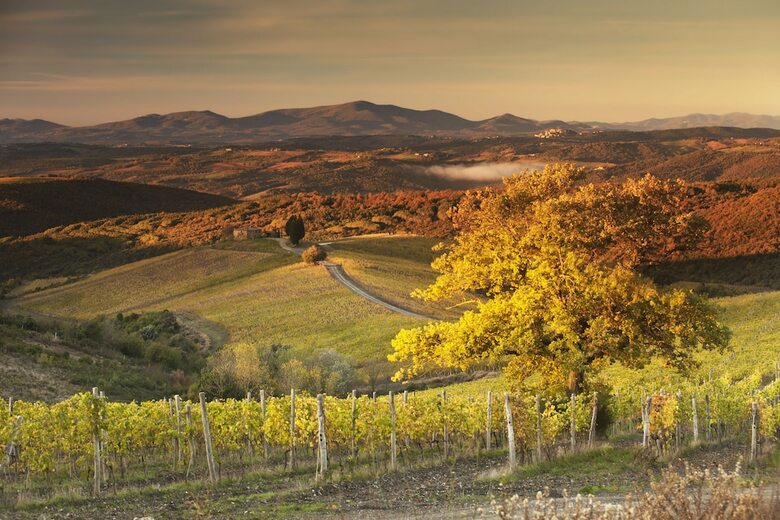 Hotel Rosewood Castiglion Del Bosco