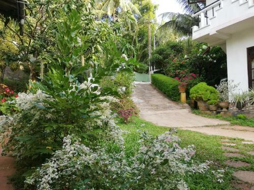 Hostal Budget Vacation Bungalow With Pool By Abha