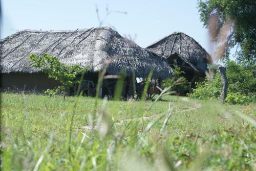 Jungle House