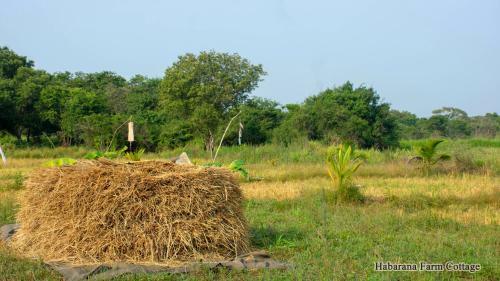 Hotel Habarana Farm Cottage