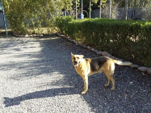 Agroturismo Tigmmi Bahamou