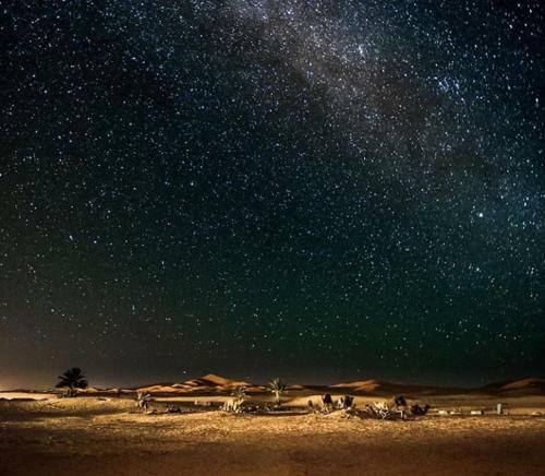 Hostal Merzouga & Camel Trek Camp
