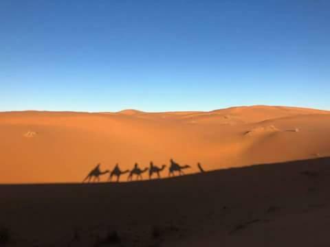 Merzouga & Camel Trekking Camp