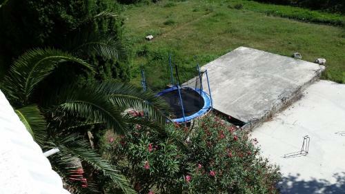 Apartments Beba Zalad