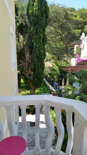 Apartments Beba Zalad