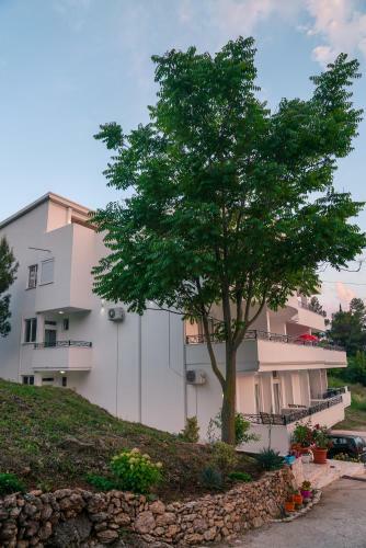 Hostal Guest House Casa Pineta