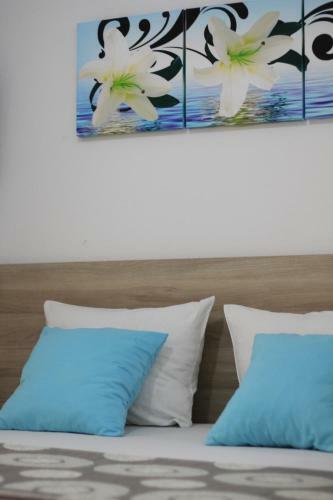 Hostal Apartments Cota Guesthouse