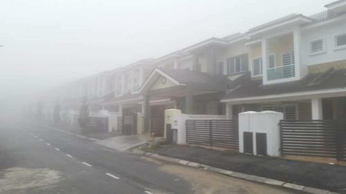 Golden Hill