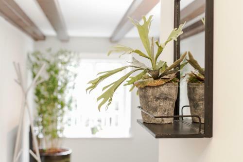 Canal Garden Apartments II By Vgw