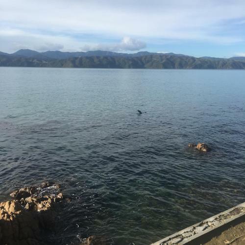 Bed & Breakfast Karaka Bays