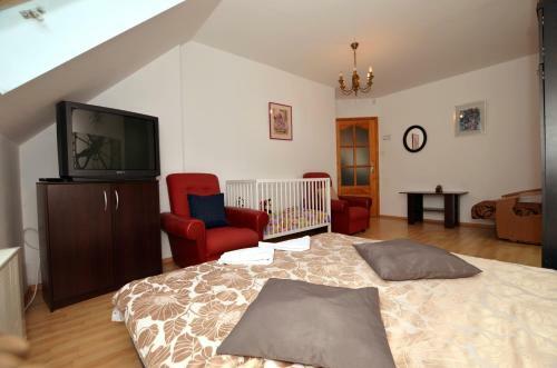 Hostel Madeira
