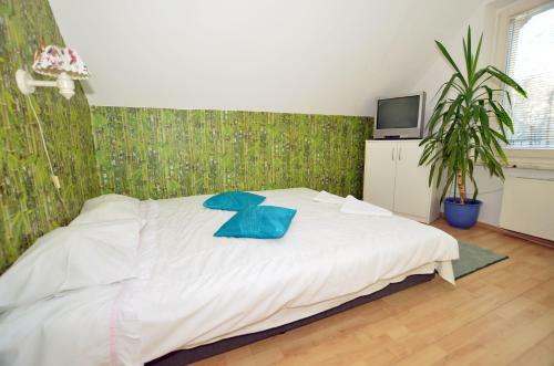 Hostel Madeira