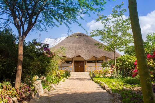 Lodge Manyara Wildlife Safari Camp