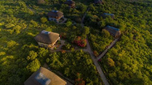 Lodge Manyara Wildlife Safari Camp