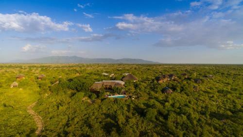 Lodge Manyara Wildlife Safari Camp