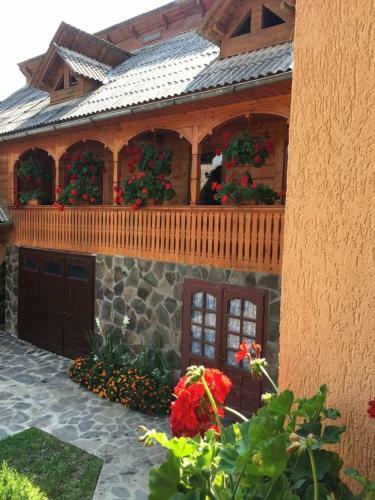 Agroturismo Pensiunea Alina