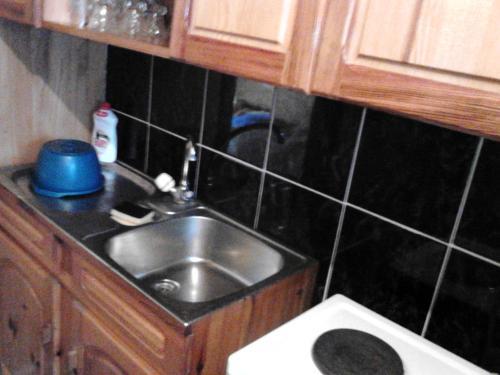 Apartment Skulova Vodenica
