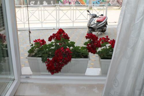 Apartamentos Royal Family