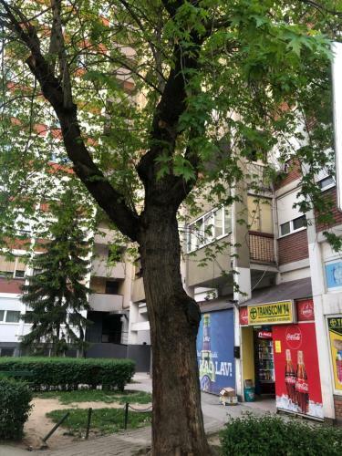 Apartamento Gloria