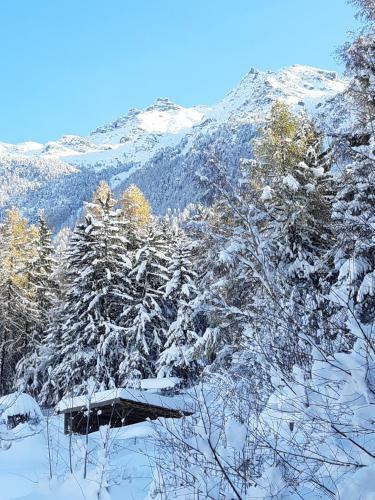 Chalet Sven & Marc Gr�chen/st. Niklaus Vs