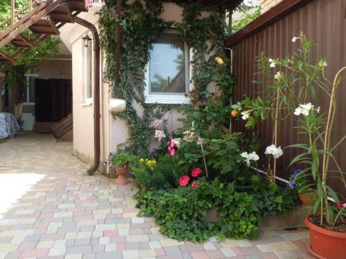 Hostal Guest House On 174? Shevchenko Street