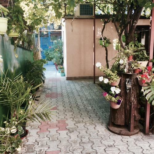 Hostal Guesthouse Tenistiy Dvorik
