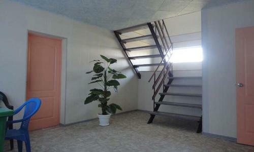 Hostal Natalia Guest House