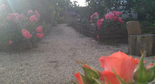 Hostal Guest House On Kalinina 336