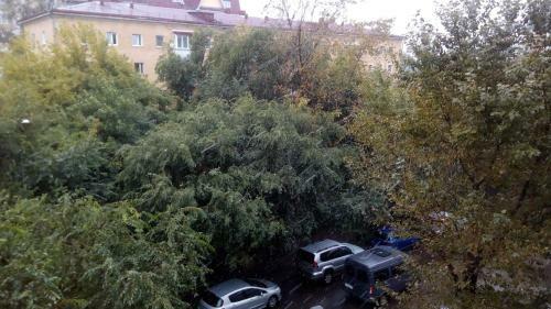 Dmitrovka Apartment On 5-y Armii
