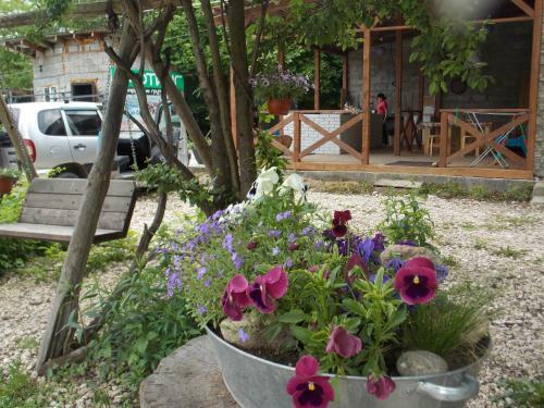 Hostal Gornaya Lavanda Guest House