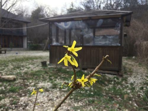Hostal Gornaya Lavanda Guest House