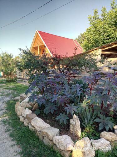 Hostal Guest House Gorniy Vozdukh