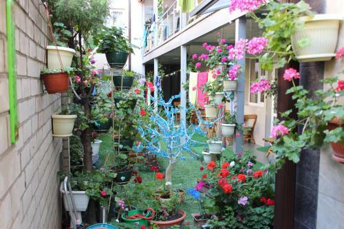 Hostal Guest House Lazurit Yug