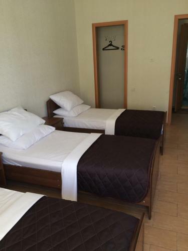 Hostal Ambassador Guest House