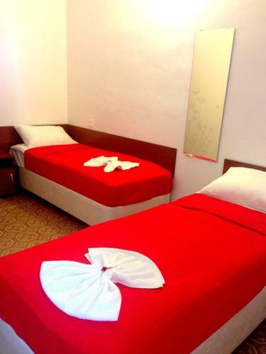 Hostal Olginka Guest House