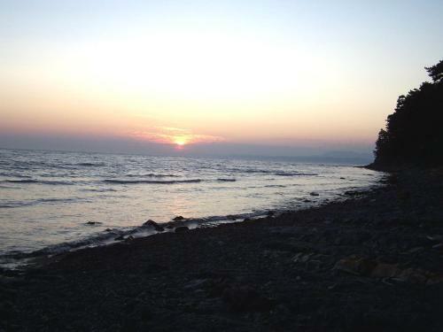 Dikiy Bereg Guest House