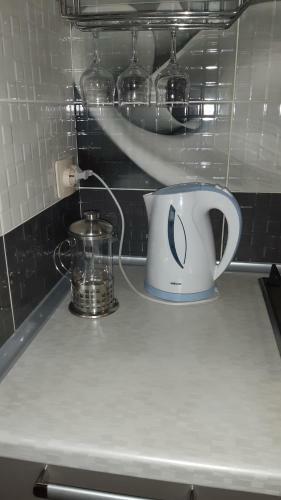 Apartment Ledovyy Dvorets On Rizhskiy Prospekt