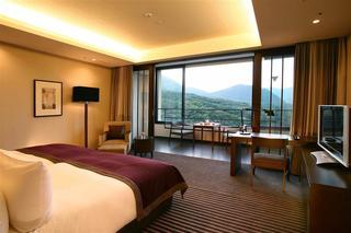 Hotel Hyatt Regency Hakone Resort And Spa