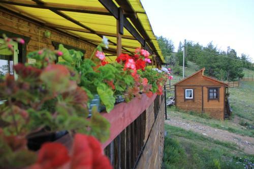 Guest Houses On Rodnye Berega