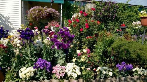 Hostal Guest House On Gatchinskaya