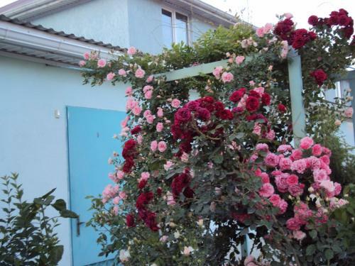 Hostal Guest House V Dolinie Roz