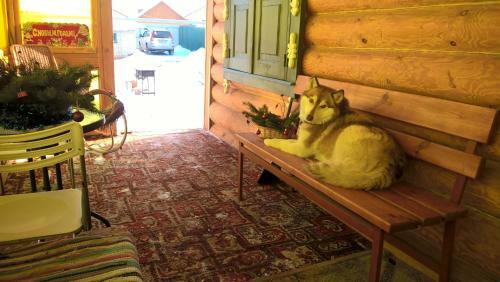 Hostal Guesthouse Skazka