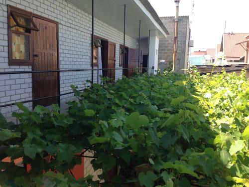 Hostal Guest House Esenia