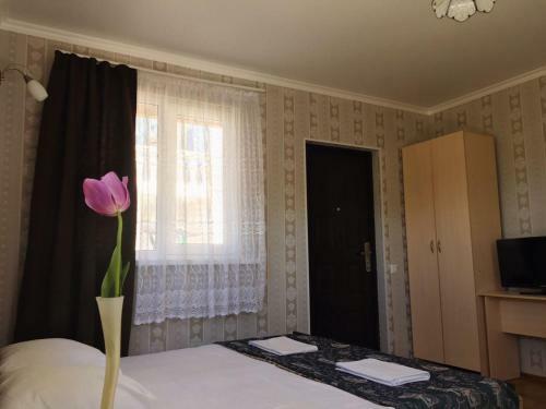 Hostal Zelenaya Gorka Guest House