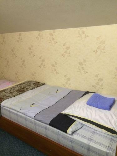 Hostal Gostevoy Dom Na Brusnichnoy 22