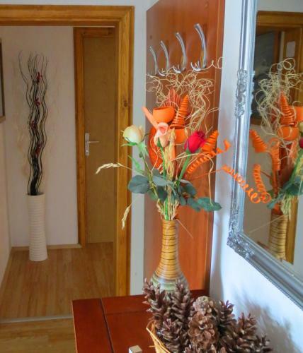 River Kolpa Apartment