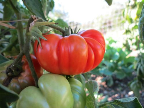 Agroturismo Tourist Farm Pri Andrejevih